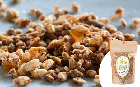 ポン菓子グラノーラ3点セット（ オリジナル ・ 黒豆きなこ ・ 出西しょうが ）