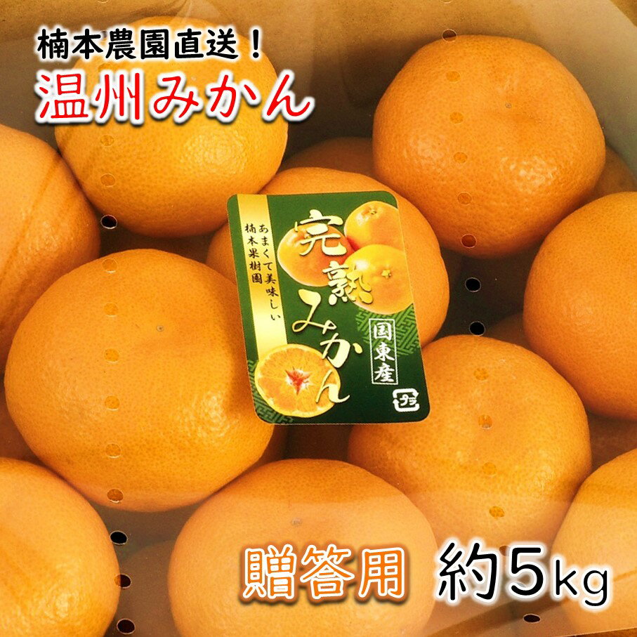 【ふるさと納税】【令和7年12月中旬から発送】楠本農園直送！温州みかん（贈答用）約5kg
