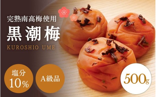 【A級品】紀州南高梅 黒潮梅 500g 塩分10％ / 梅干し 梅干 うめぼし 南高梅 国産 梅 うめ ウメ 完熟 しそ 紫蘇 シソ かつお 鰹 カツオ 健康 ご飯のお供 昔ながら 贈り物 ギフト プレゼント お歳暮 お取り寄せ せんのうめ お歳暮 和歌山県 田辺市 仙宝【spo009】