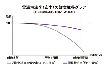 【令和7年産】雪温精法　新潟県産こしひかり　5Kg