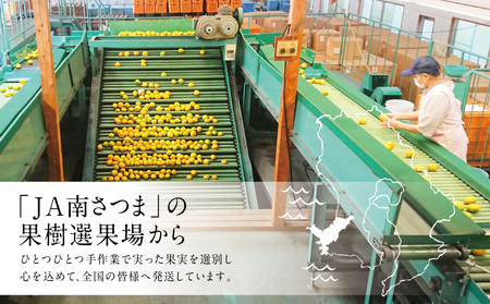 【2026年2月発送開始】鹿児島県産ブランドきんかん「春姫」 約2kg 鹿児島県産 ブランド 金柑 果物 フルーツ 柑橘 常温 JA 南さつま市