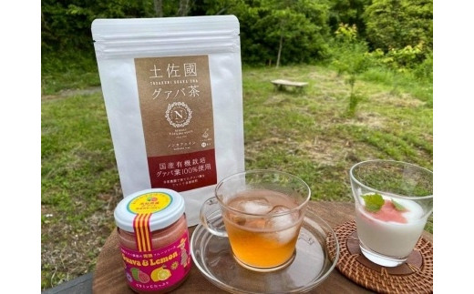 【6回定期便】有機グァバ農園の完熟フルーツソースと土佐國グァバ茶セット | 定期便 お茶 飲料 茶 おちゃ 飲み物 フルーツ ソース グアバ 葉 国産 人気 おすすめ 食物繊維 高知県 南国市