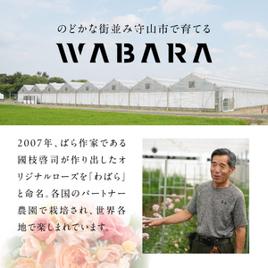 マンスリーブーケ WABARA 20本とわばらの枝葉　Rose Farm KEIJI  WABARA 20本  國枝啓司 AT-0006