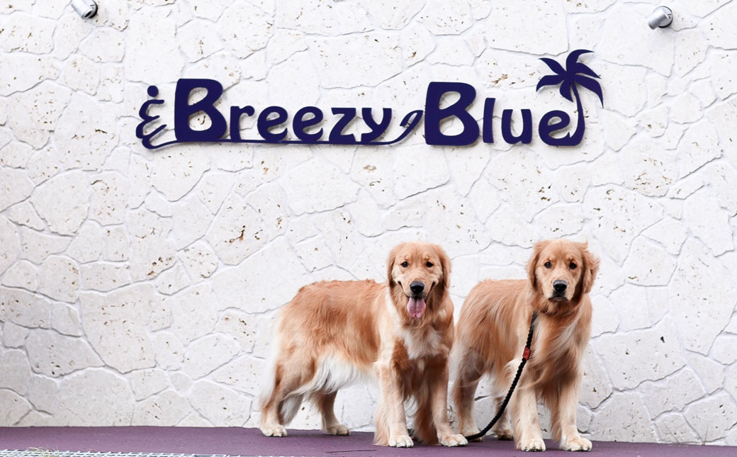 
貸別荘BreezyBlue淡路島 ご利用券【10月～3月宿泊限定】（30,000円分）
