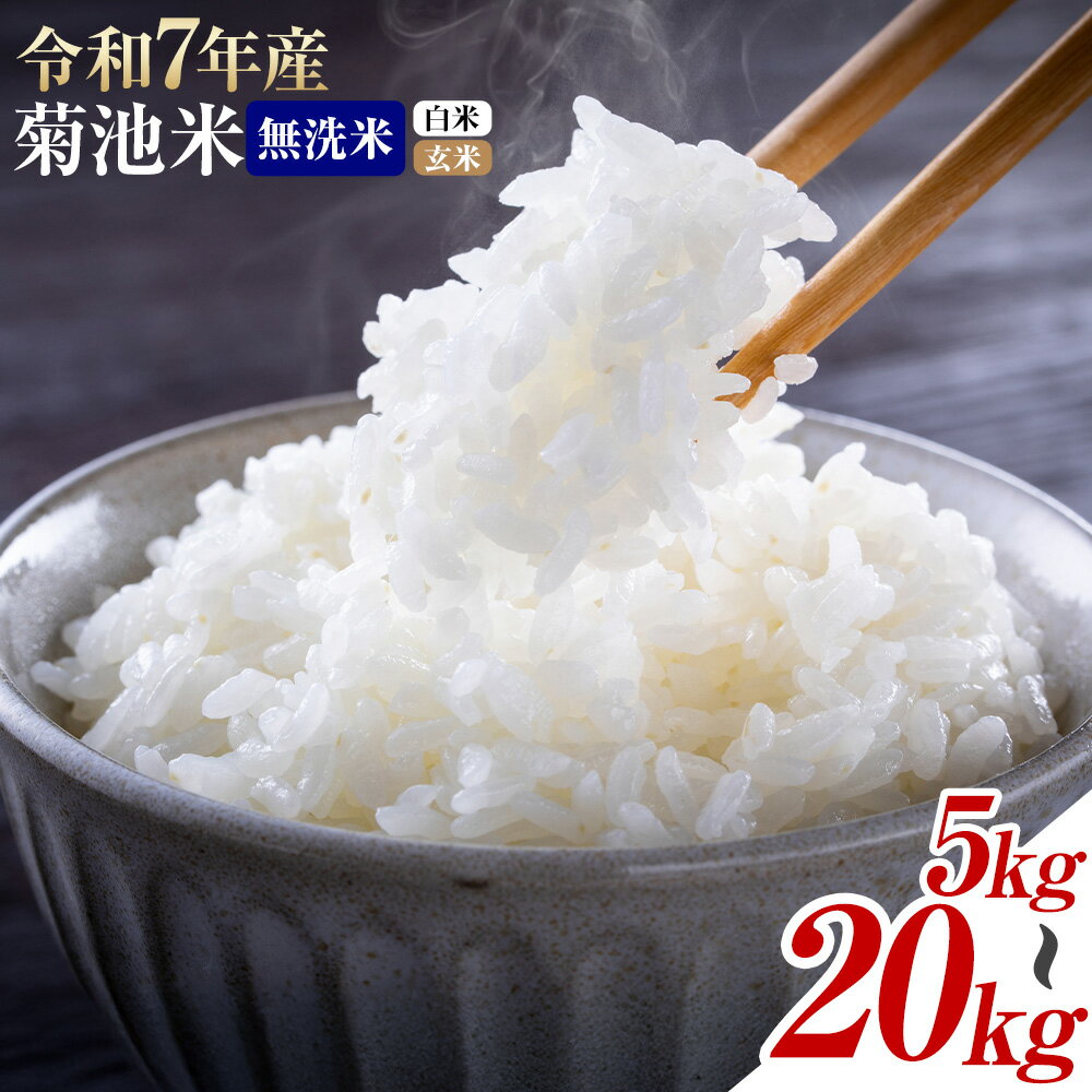【ふるさと納税】令和7年産 熊本県産 菊池米 無洗米 白米 玄米 5kg/10kg/20kg 定期便 選べる内容量 1袋5kg 米 お米 九州産 熊本県産 送料無料《出荷時期をお選びください》玄米 無洗米 白米 米　くまもとごはん