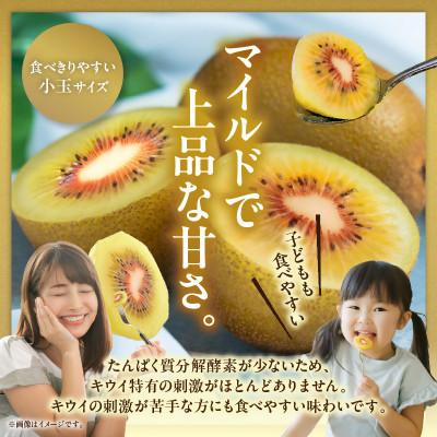 ふるさと納税 三木町 さぬきエンジェルスイートキウイ(小玉)約2kg |  | 01