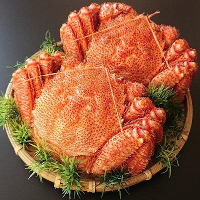 ふるさと納税 根室市 【年内配送可】＜計800前後＞★毛がに400g前後×2尾 B-21003