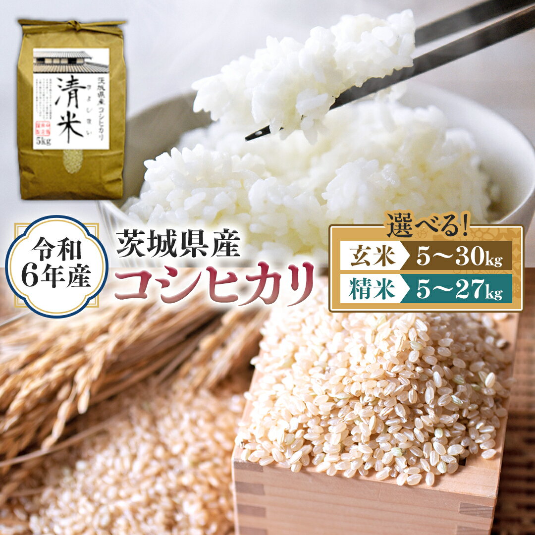 【ふるさと納税】＼ 選べる内容量 ／ 令和6年産 茨城県産 コシヒカリ （精米 5kg・10kg・27kg / 玄米 5kg・10kg・30kg） 白米 清米 キヨシマイ こしひかり 米 コメ こめ 単一米 限定 茨城県産 国産 美味しい お米 おこめ おコメ