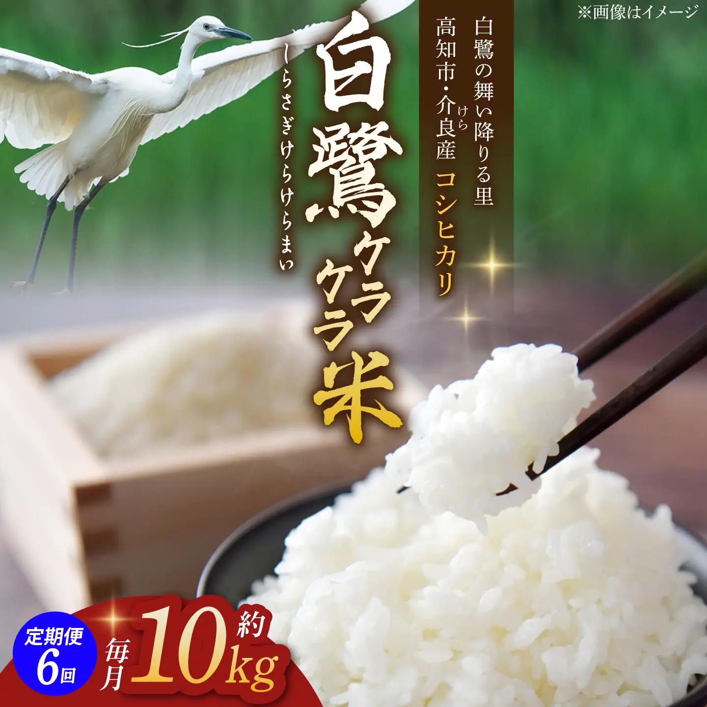 【6回定期便】 R8年度産 特別栽培米 農薬節減！ 白鷺ケラケラ米 コシヒカリ 各約10kg 合計約60kg / 高知 米 精米 　【津ノ宮農園】[ATBV015]