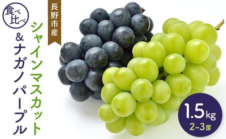 2026年産シャインマスカット&ナガノパープル 1.5kg 2-3房 食べ比べ 長野市産 フルーツ 果物 ぶどう ※配送不可:沖縄、離島