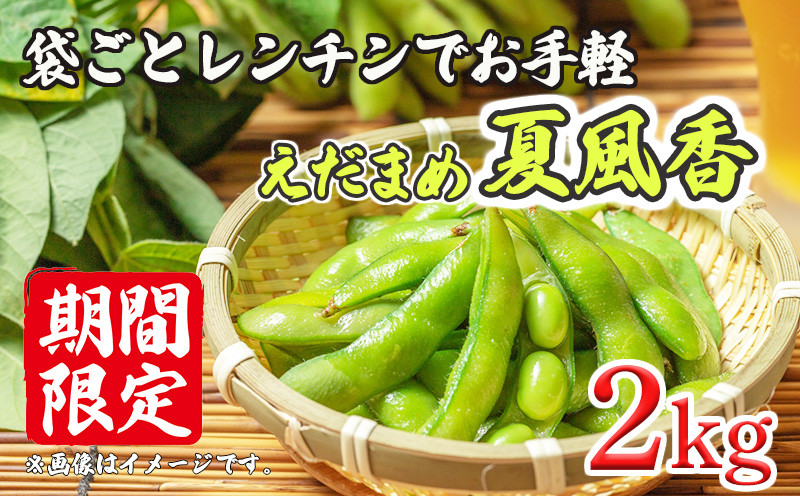 
                  ＜2026年発送＞ 【 先行予約 】 えだまめ 枝豆 2kg 200g 10袋 レンチン レンジ お手軽  ビール おつまみ 新鮮 野菜 やさい 今が旬 旬の野菜 個包装 小分け 冷蔵 豆 晩酌 グルメ 静岡県 沼津市
                