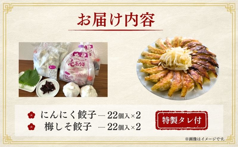 にんにく餃子(22個入り×2袋)と梅しそ餃子(22個入り×2袋)　12ヶ月連続お届け 惣菜 冷凍餃子 中華 夕飯 夜ごはん おかず 食べ比べ おつまみ ビールのおつまみ 