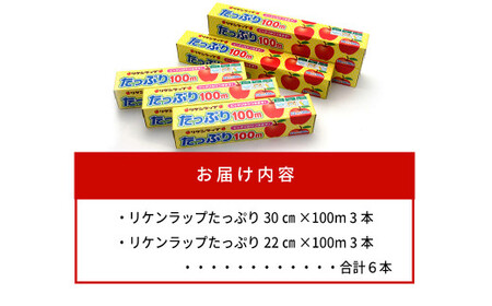 リケンラップ　たっぷり??100ｍ詰合せ（6本）　【11218-0662】