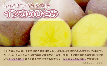 インカのひとみ 10kg じゃがいも 飯山農場《9月中旬-3月上旬頃出荷》芋 ジャガイモ 野菜 送料無料 北海道 浦幌町 