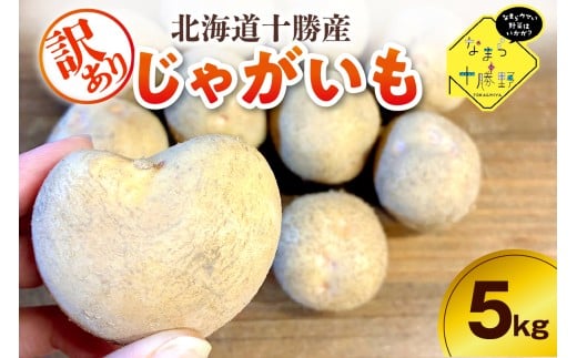 【10月上旬～1月下旬頃配送】【訳あり】北海道十勝芽室町 農家応援じゃがいも キタアカリ（小玉）5㎏　me001-050c-1