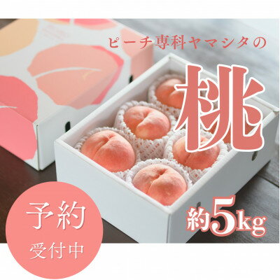 【ふるさと納税】先行予約!【2026年7月発送開始】桃の産地山梨からお届け　ピーチ専科ヤマシタの桃　5kg【配送不可地域：離島】【1707820】