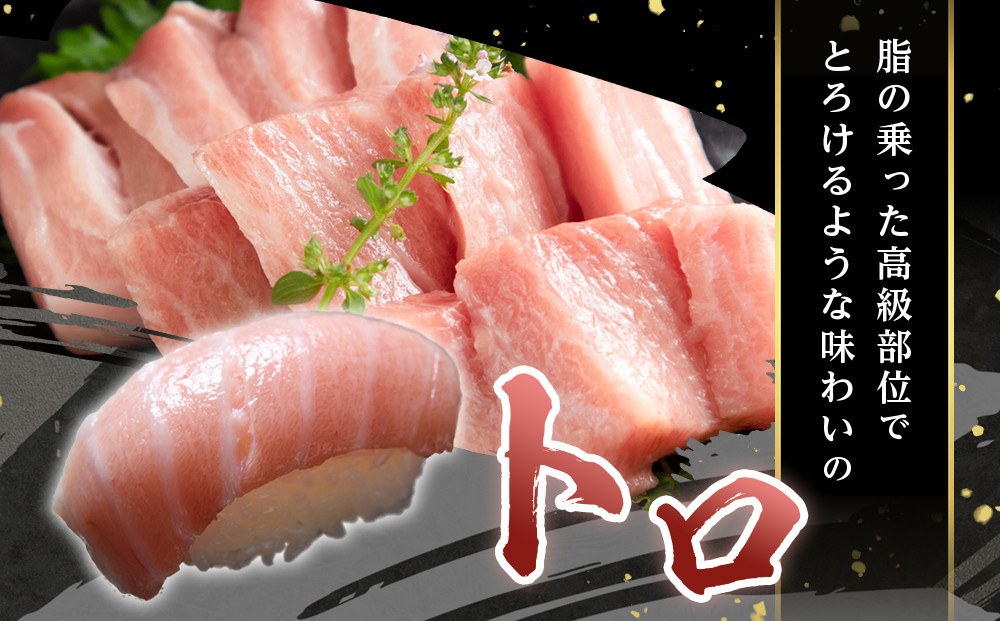 【期間限定】本マグロ トロ+赤身セット 1kg | 大トロ 中トロ 鮪 刺身 寿司 海のダイヤ クロマグロ 人気　生活応援