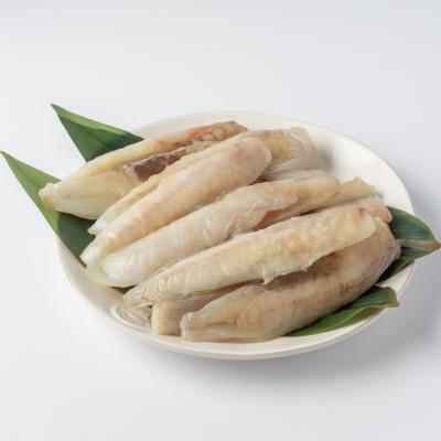 ふるさと納税 紋別市 低温熟成真ふぐ1kg |  | 03