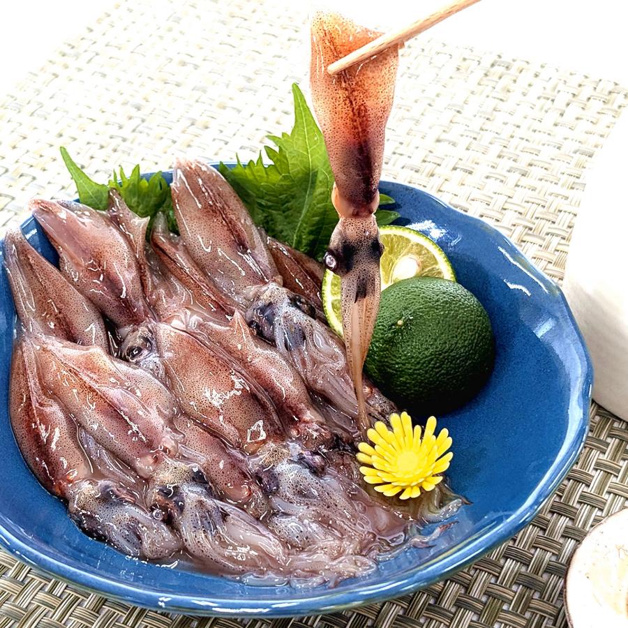 旬凍結ホタルイカ　250g×5パック