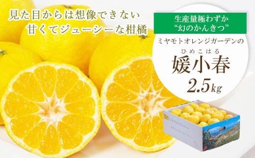 
            ＜2026年1月下旬頃より順次発送＞希少柑橘 媛小春(ひめこはる) 2.5kg＜C25-144＞【1378626】
          