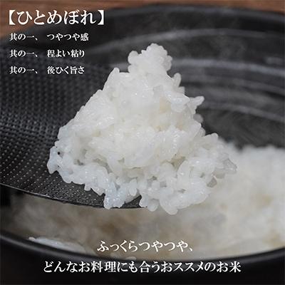 ふるさと納税 盛岡市 【毎月定期便】【3か月毎月配送】【無洗米】【ひとめぼれ】5kg全3回 |  | 01