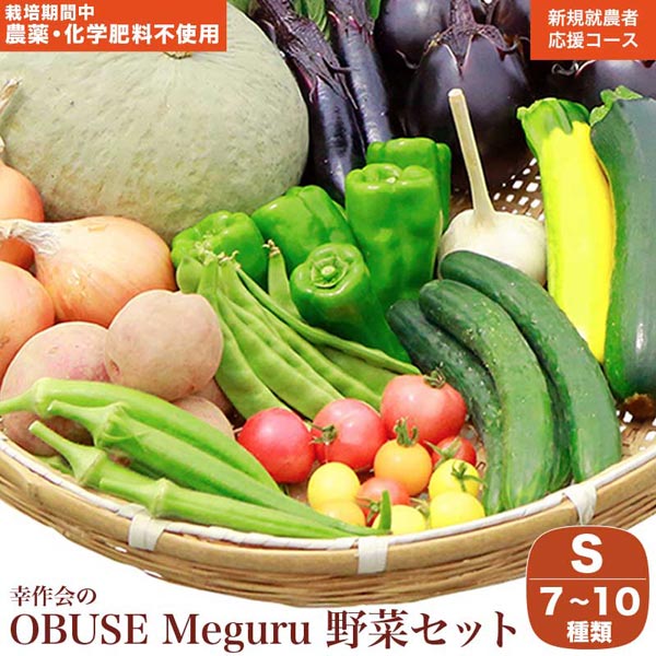 栽培期間中農薬・化学肥料不使用］ OBUSE Meguru 野菜セット S 7-10種類 ［新規就農者応援コース 幸作会］ 野菜 詰め合わせ 詰合せ 農薬不使用 化学肥料不使用 おまかせ やさい 詰合