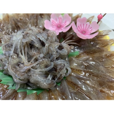 ほたるいか　ボイル＆刺身・素干しセット【配送不可地域：離島・北海道・沖縄県・東北・中国・四国・九州】