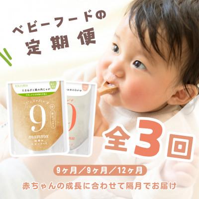 ふるさと納税 湖南市 【2ヵ月毎定期便】manma四季のベビーフード定期便　生後9ヶ月スタート全3回