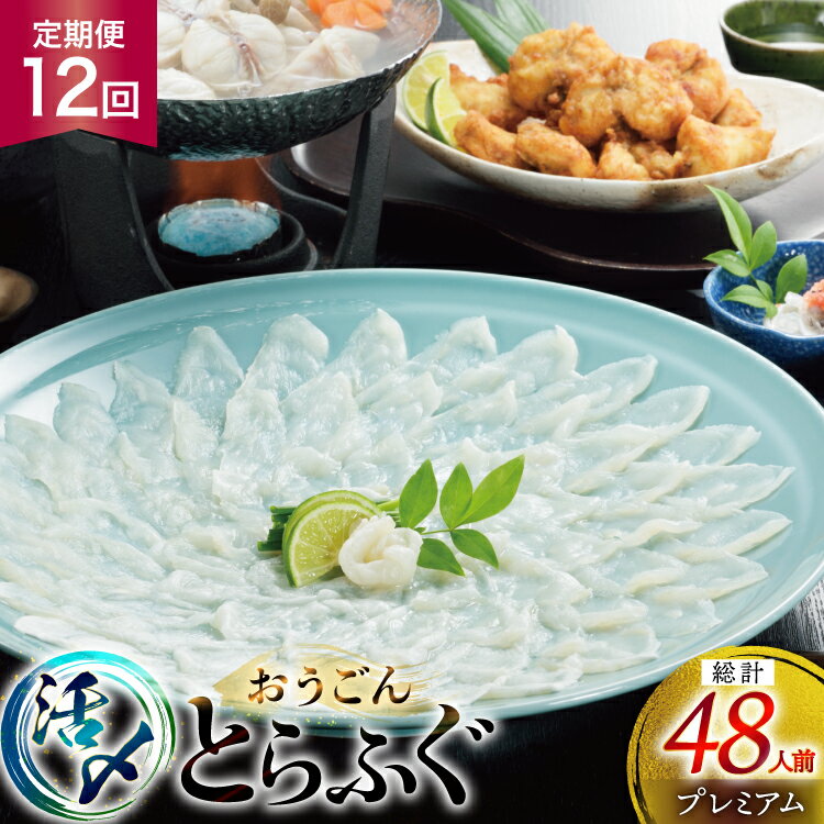 【ふるさと納税】ふぐ 刺身 ふぐ鍋セット 活〆 おうごんとらふぐ プレミアム セット 4人前 12回 定期便 [松永水産 長崎県 平戸市 hr42bgy400152] ふぐ刺し とらふぐ フグ 河豚 てっさ てっちり ふぐ鍋 湯引き 魚介 さかな お刺身 刺身用 さしみ 冷凍 海鮮