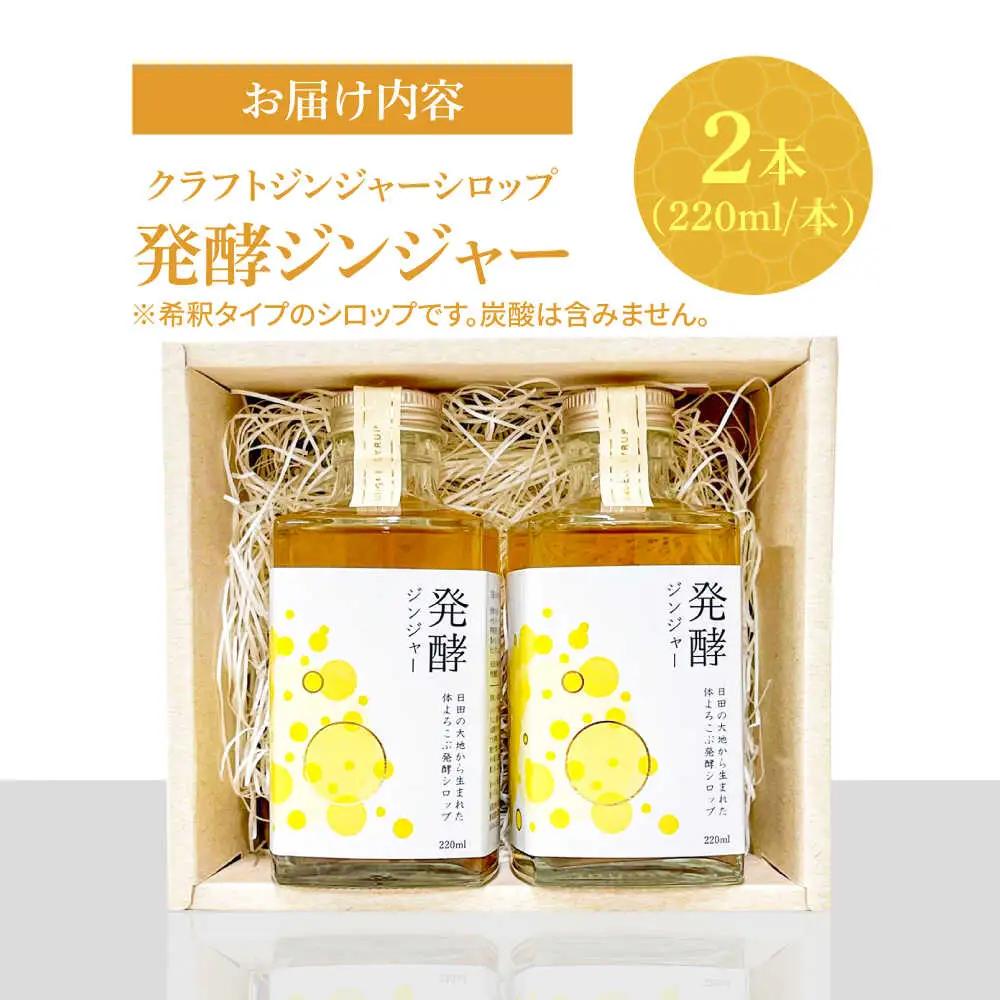 【お中元対象】ピリっと生姜にスパイスの甘い香り！身体にも心にも優しい発酵ジンジャーシロップ！発酵ジンジャー（2本セット） スパイス 炭酸 シロップ[ARDA010]