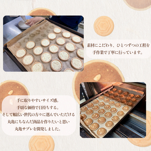 サブレ 最中 丸亀サブレ 30個 乃だや