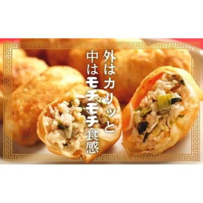 ふるさと納税 名古屋市 カリットギョウザ 生餃子48ケ【6人前】ジューシー |  | 03