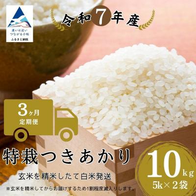 ふるさと納税 小松市 【3ヶ月定期便】特栽つきあかり 精米 白米 (玄米10kgを精米したて白米発送) 令和7年度産