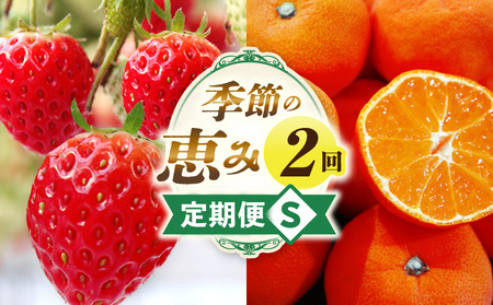 季節の恵み2回定期便S_mk165-t038