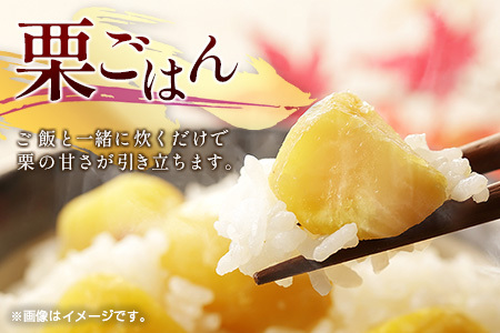 ＜訳あり＞期間限定 国産 低温熟成栗（むき栗）500g 産地直送 お取り寄せ 熟成宝珠栗 宮崎県新富町産【B505-25】