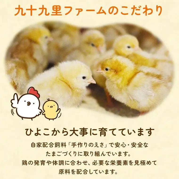 【定期便3回】九十九里ファームこだわりたまご贈答用 60個 ～あおい海・みどりの里～《白玉》 たまご 卵 玉子 タマゴ 白玉 卵かけご飯 新鮮 旨み 甘み 贈答用 贈答 ギフト 贈り物 千葉県 匝瑳市