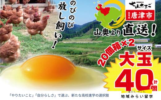 
            七山たまご20個箱×2(計40個)(大玉)
          
