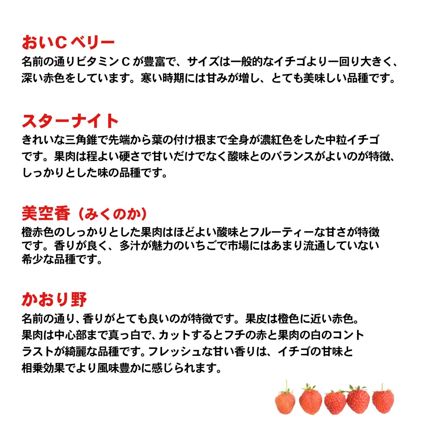 いちご 食べ比べ 4パック 【1月中旬から発送】いちご AJ002ya