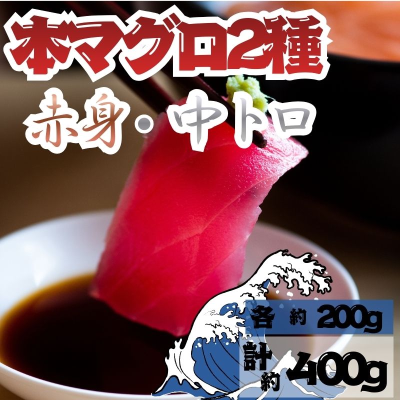 【ふるさと納税】【出荷時期：7月上旬〜】本マグロ 赤身 中トロ 各1柵 セット 国産 本鮪 まぐろ マグロ クロマグロ 鮪 刺身 丼ぶり 寿司 海鮮 魚介 贅沢 お取り寄せ 詰め合わせ グルメ 産地直送 送料無料 冷凍 道の駅