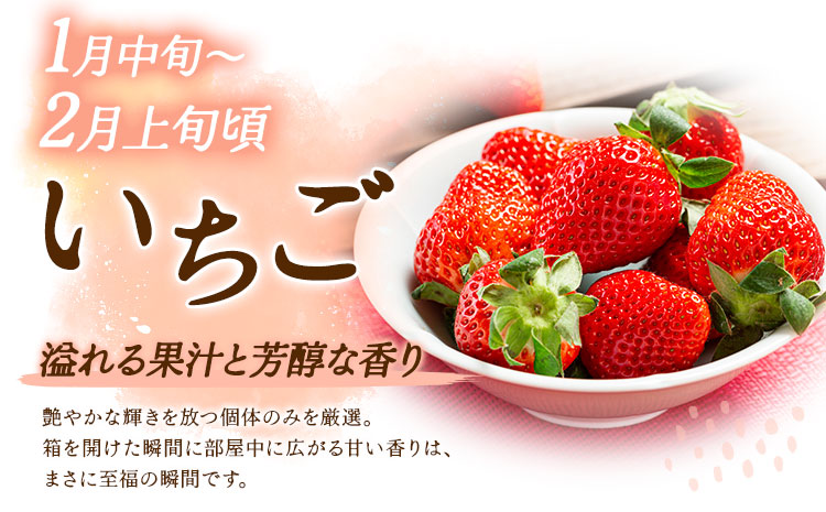 【5回定期便】旬のフルーツ定期便 いちご メロン 梨 シャインマスカット 柿 日本フルーツ株式会社《2027年1月中旬-11月中旬頃出荷》熊本県 菊池市 果物 くだもの フルーツ デザート---308