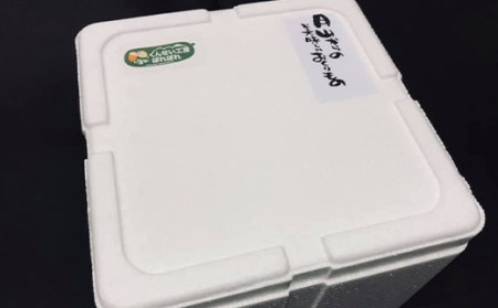 月山maltポーク 粗挽きソーセージ 760g（190g×4パック）F2Y-2155