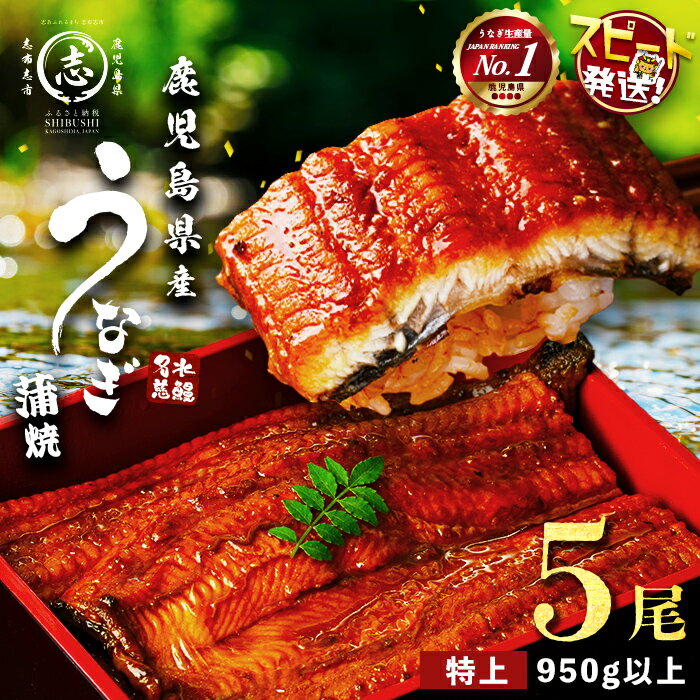 【ふるさと納税】【10営業日以内に発送】鹿児島県産 うなぎ蒲焼 名水慈鰻(特上5尾 計950g以上/1尾あたり190g以上) うなぎ 鰻 ウナギ 5尾 国産 九州産 蒲焼き かばやき 冷凍 うな重 ひつまぶし タレ 山椒 ランキング 人気【鹿児島鰻】
