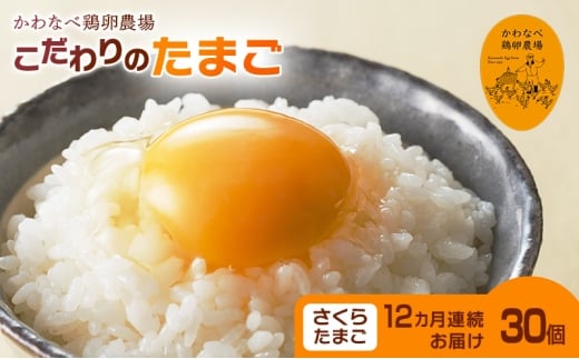 【定期便】かわなべ鶏卵農場のこだわりのたまご　さくらたまご30個　12ヶ月連続お届け [№5714-0141]