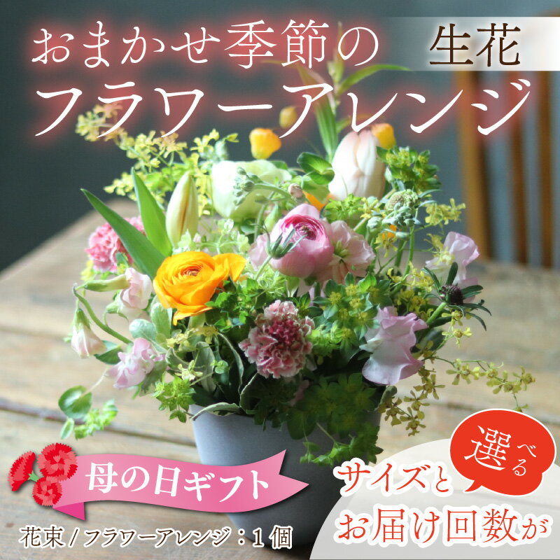 【ふるさと納税】お花 ギフト おまかせ季節のフラワーアレンジ（生花）サイズとお届け回数が選べる / 母の日 ははの日 プレゼント お祝い フラワーギフト フラワーアレンジメント 花束 カゴ バスケット 花屋 植物 富山県 滑川市 コンシェルジュ