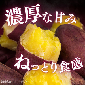東庄町産　さつま芋（紅はるか）　5kg ／ さつま芋 さつまいも サツマイモ 薩摩芋 甘藷 唐芋 紅はるか べにはるか ベニハルカ 芋 いも イモ 農薬不使用 化学肥料不使用 除草剤不使用 産地直送 
