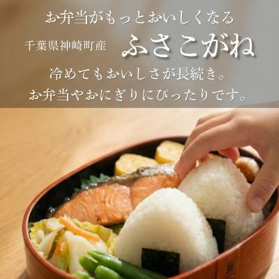 ふるさと納税 神崎町 《 限定復活・令和7年産 》千葉県神崎町産 ふさこがね 10kg(5kg×2袋) |  | 01