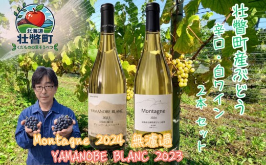 昭和新山ワイン YAMANOBE BLANC 2023(ヤマノベブラン）、Montagne 2024 無濾過(モンターニュ）白ワイン 辛口 750ml 各1本セット【ふるさと納税 人気 おすすめ 白ワイン 昭和新山 ワイン 白 辛口 お酒 壮瞥町産 ぶどう 100％ ピノノワール シャルドネ ケヴェルツトラミネール 丹波ワイン セット 飲み比べ 北海道 壮瞥町 送料無料】SBTQ014