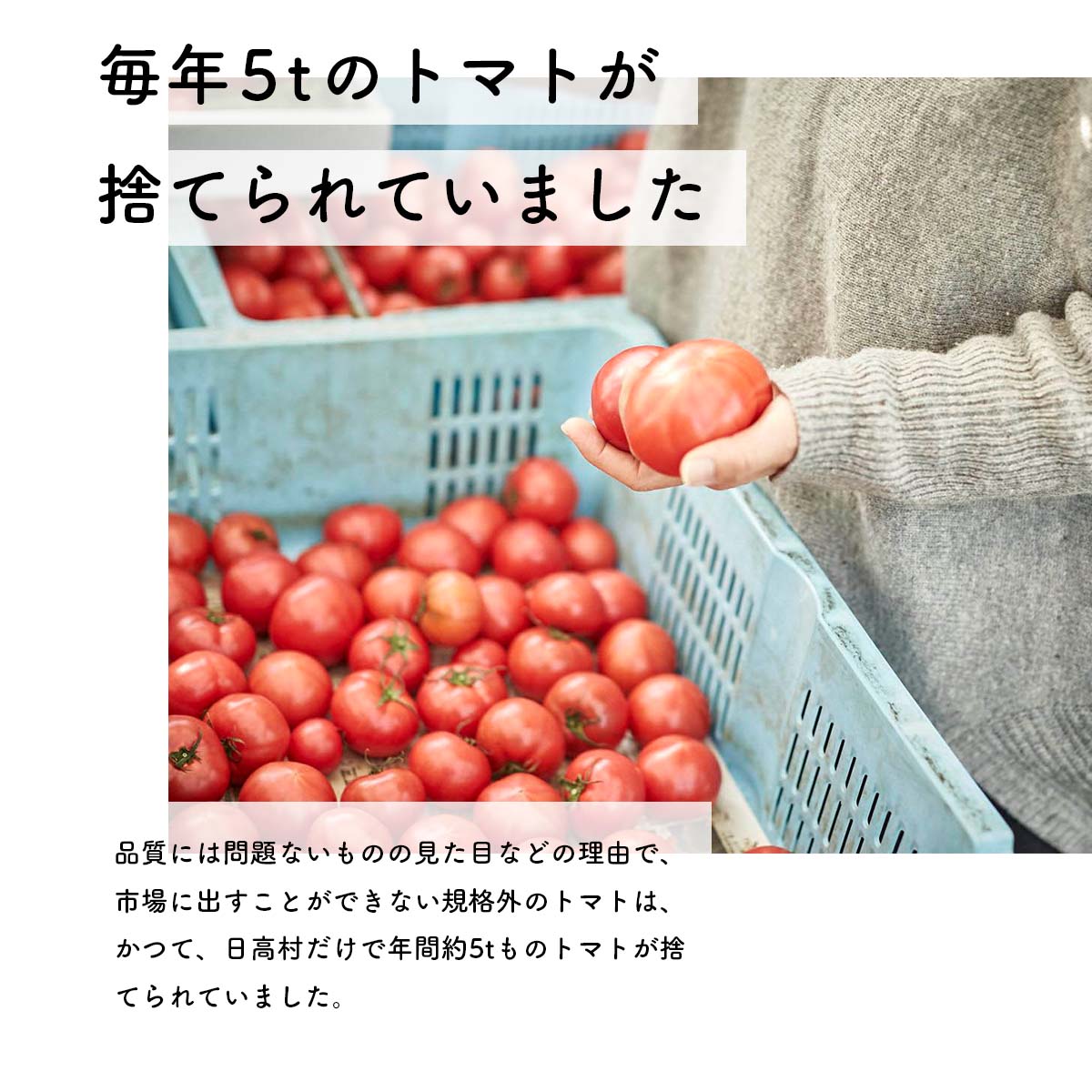 【訳あり】冷凍トマト・お試し30個／約1.5kg 冷凍で皮むき簡単。保存がきく！_イメージ5