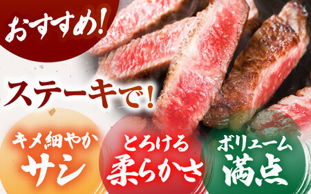 【全国有数のブランド牛】佐賀牛サーロインステーキ計300g（150ｇ×2パック）【がばいフーズ】A5ランク 佐賀牛[HCS012]