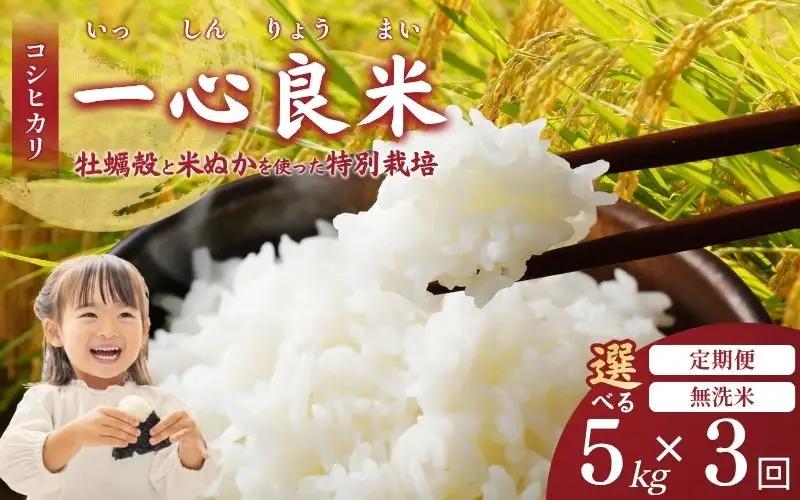 ＜全3回定期便＞ 米 岡山県産精米 令和7年産コシヒカリ一心良米無洗米5kg×3回 【tkns-tkb029-cho】